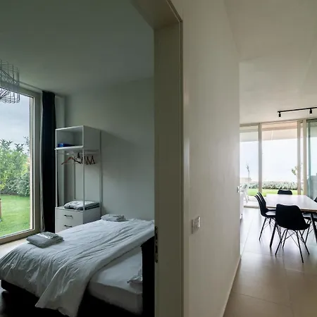 Aster Palase * Himarë